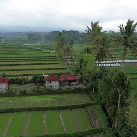 New Rinjani Homestay テテバトゥ エクステリア 写真