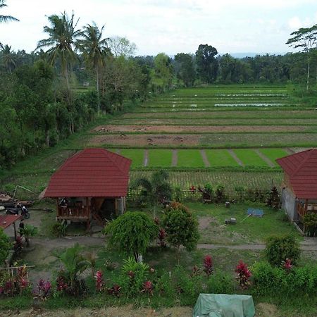 New Rinjani Homestay テテバトゥ エクステリア 写真