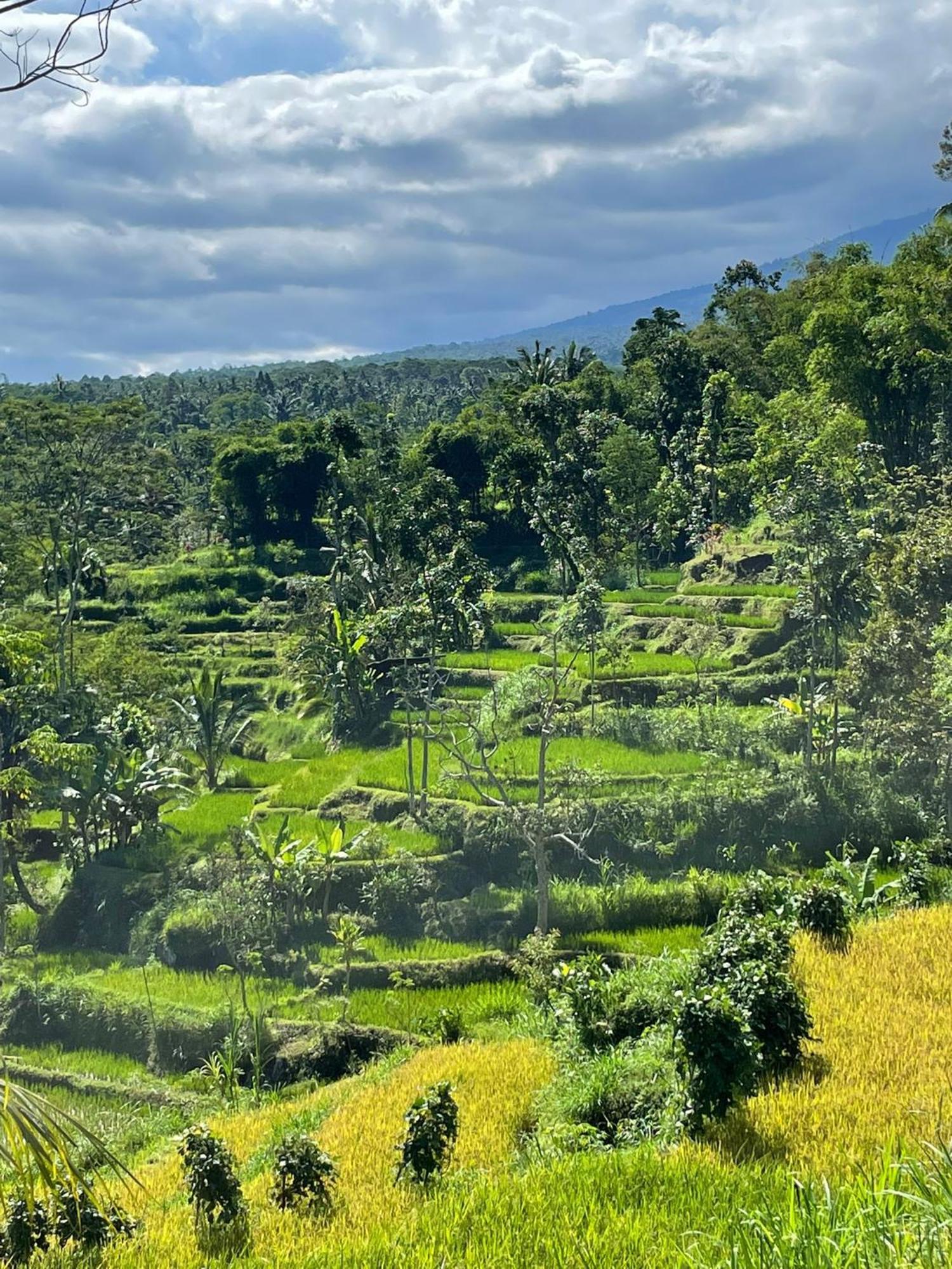 New Rinjani Homestay テテバトゥ エクステリア 写真