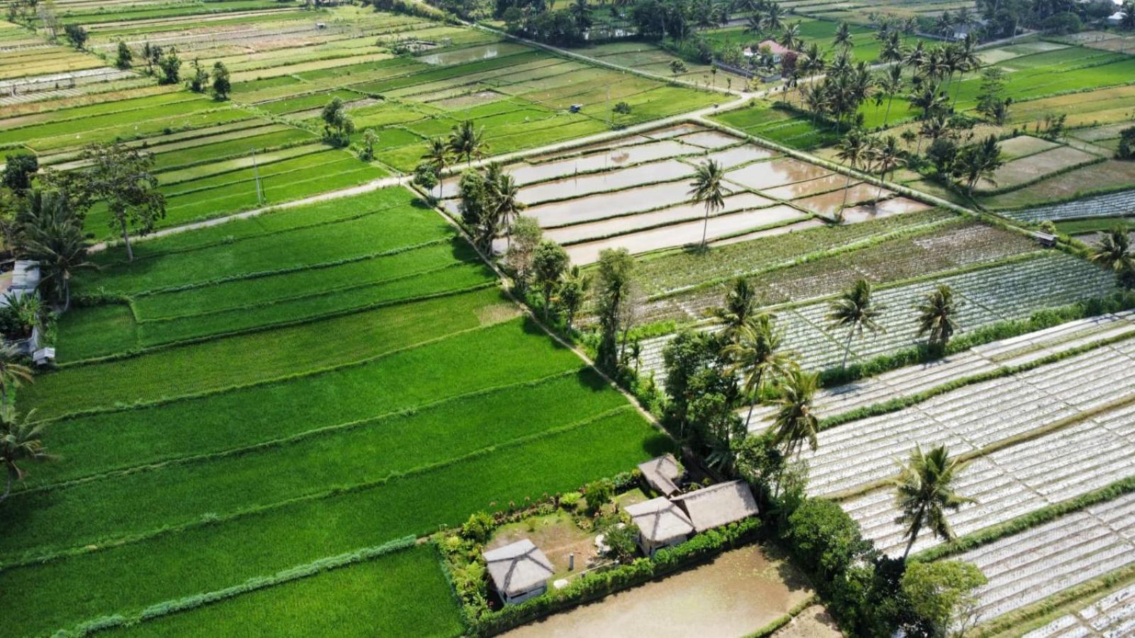 New Rinjani Homestay テテバトゥ 部屋 写真