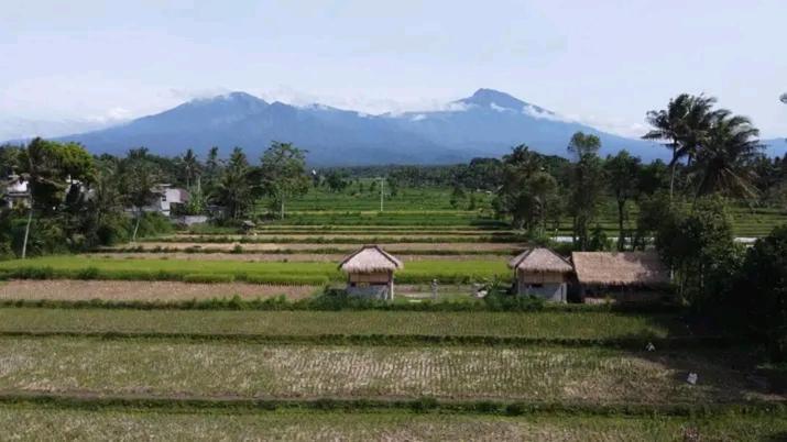 New Rinjani Homestay テテバトゥ エクステリア 写真