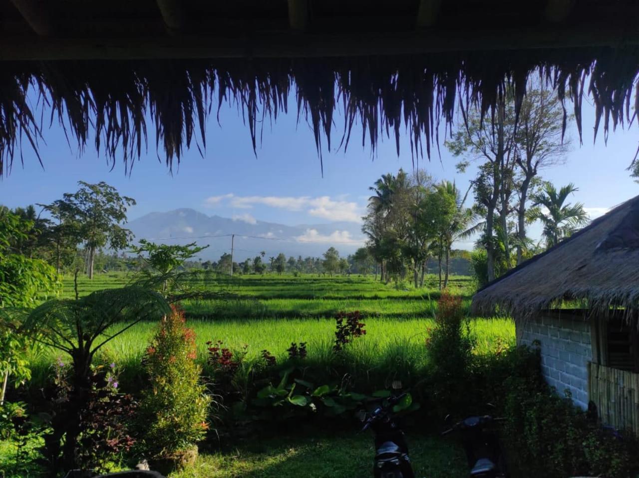 New Rinjani Homestay テテバトゥ エクステリア 写真