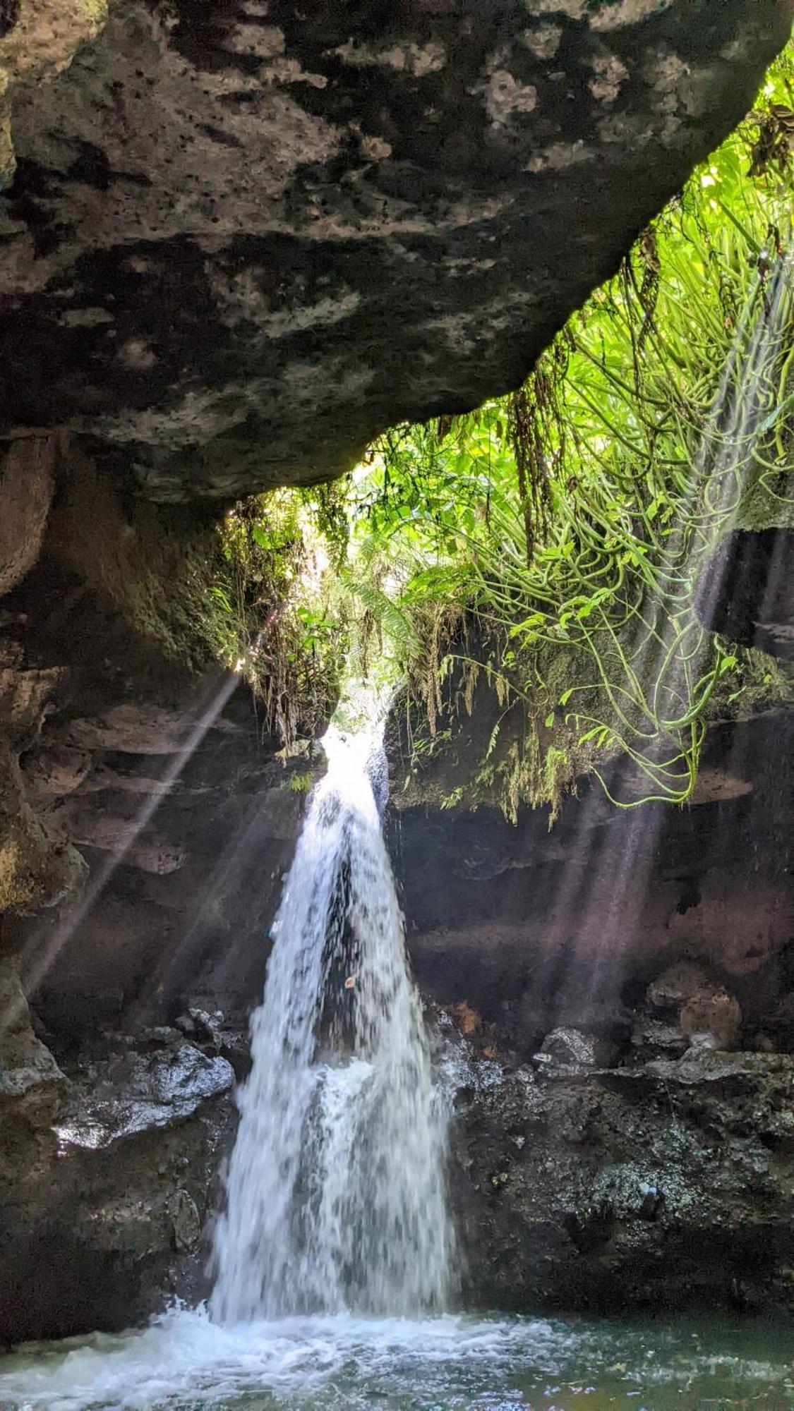 New Rinjani Homestay テテバトゥ エクステリア 写真