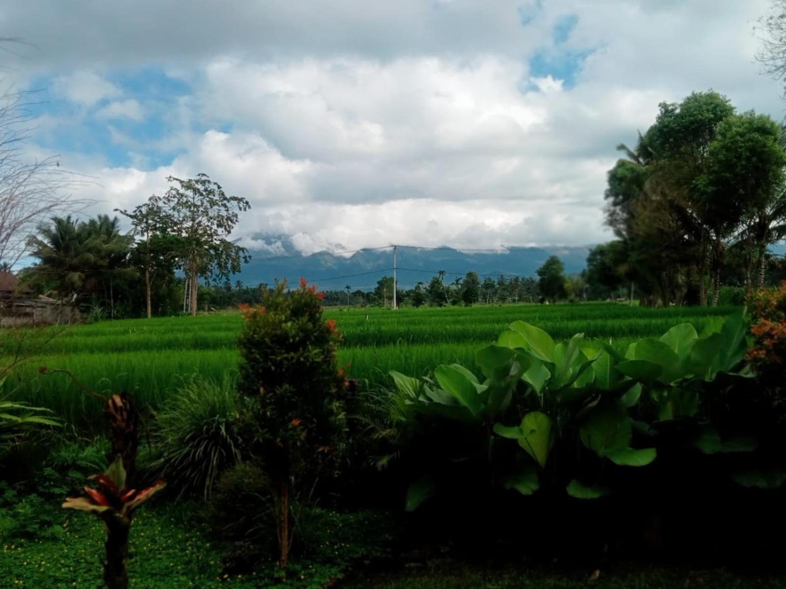 New Rinjani Homestay テテバトゥ 部屋 写真