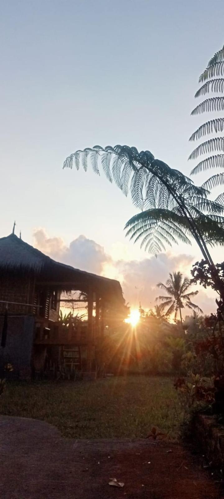 New Rinjani Homestay テテバトゥ 部屋 写真