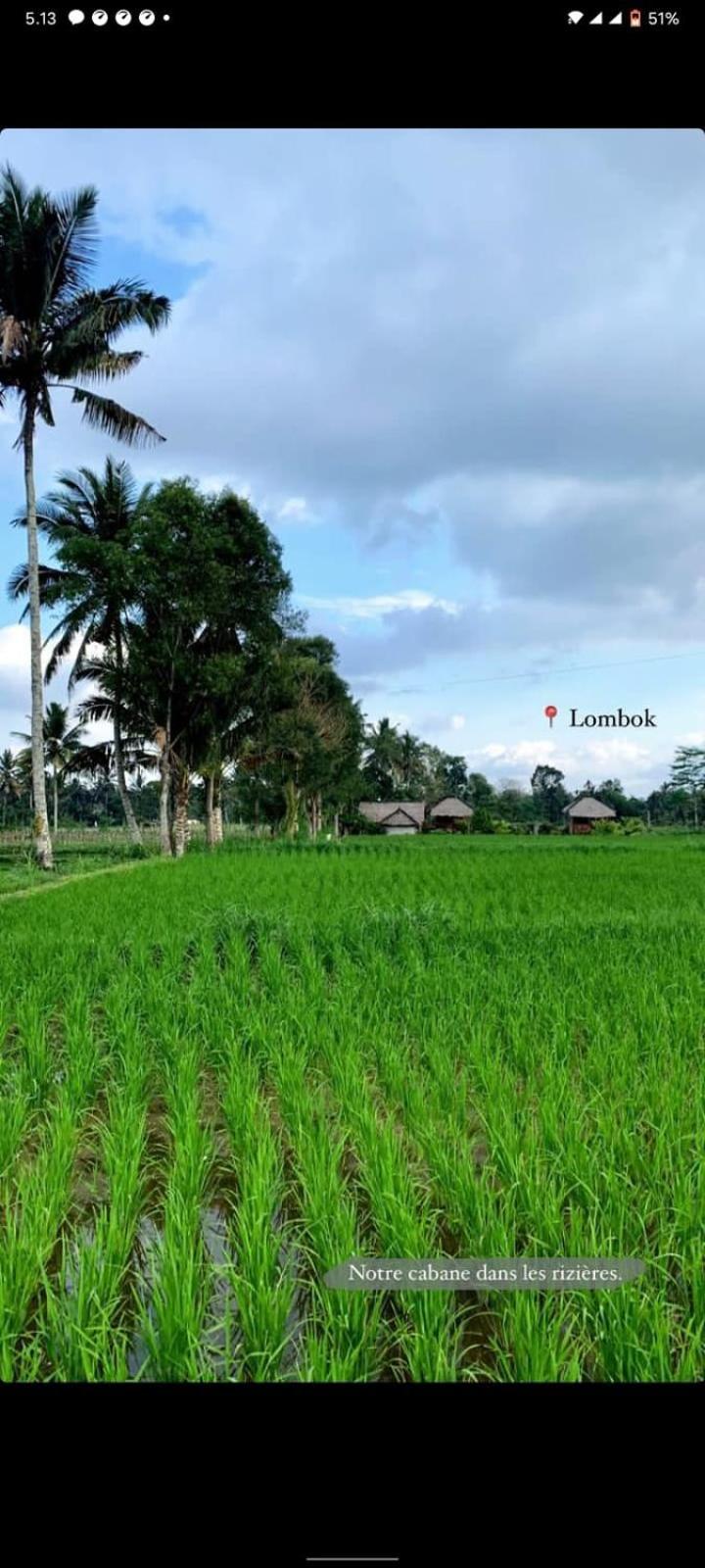 New Rinjani Homestay テテバトゥ 部屋 写真