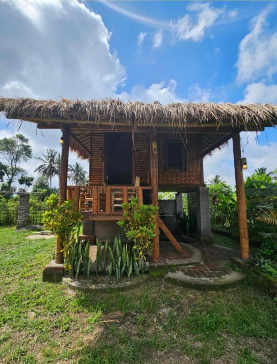 New Rinjani Homestay テテバトゥ エクステリア 写真