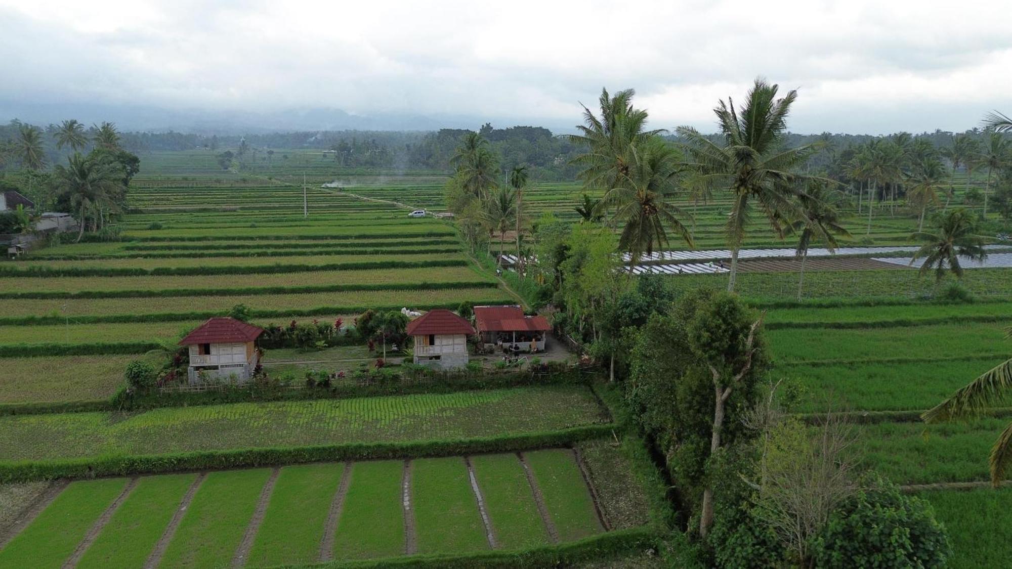 New Rinjani Homestay テテバトゥ エクステリア 写真
