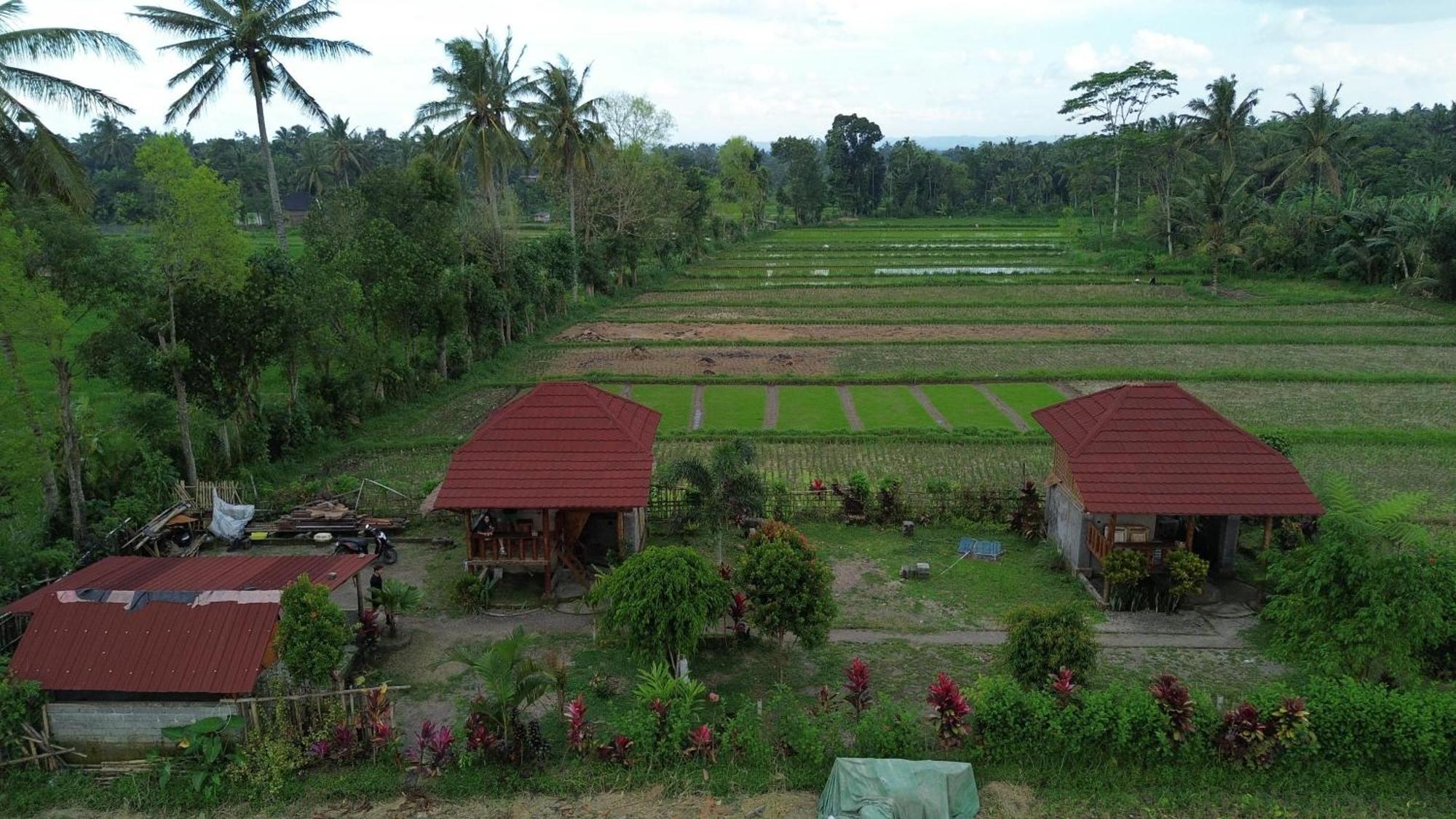 New Rinjani Homestay テテバトゥ エクステリア 写真